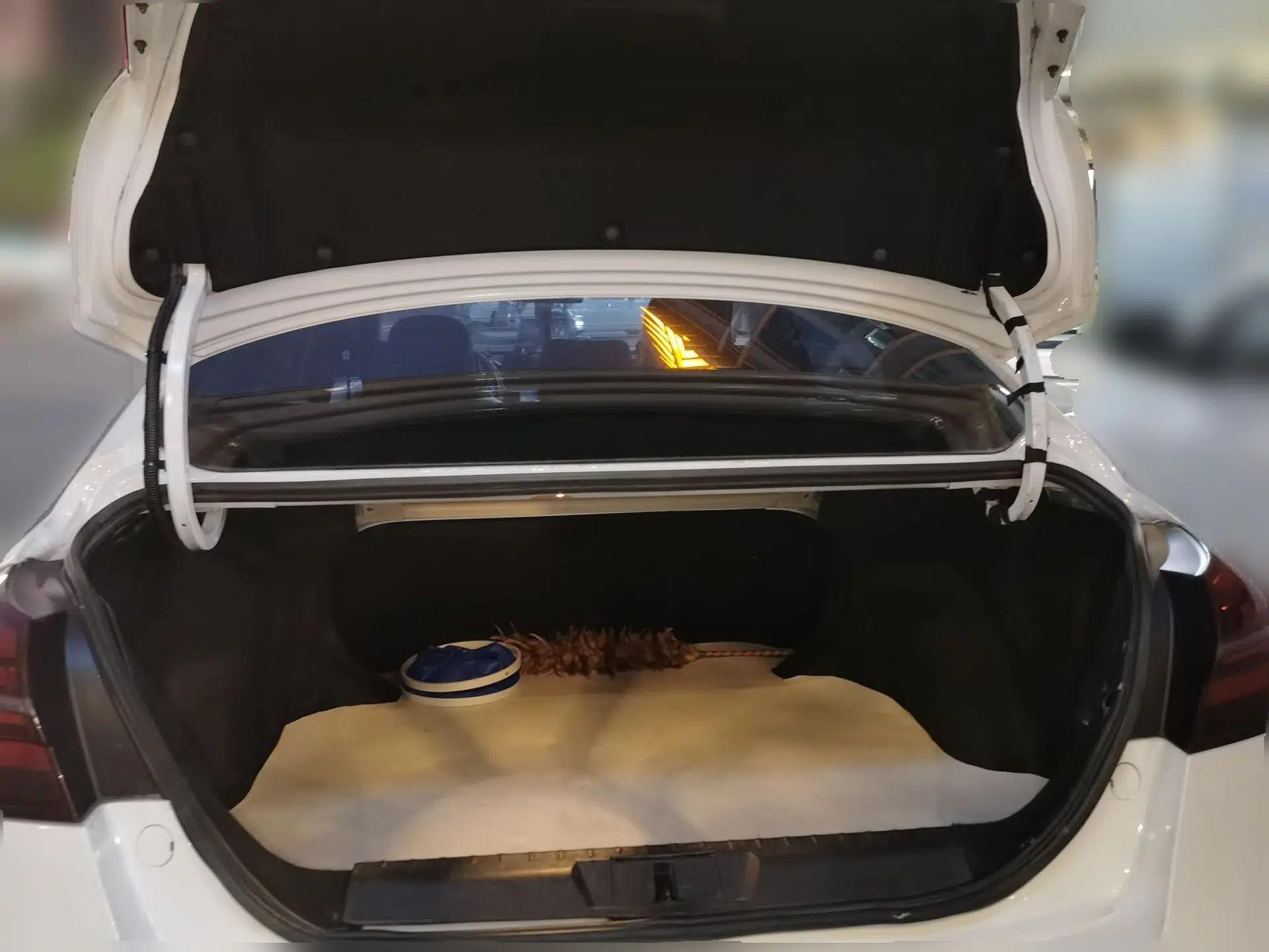 Geely Auto Emgrand New Energy 2019 EV500 Ambition Standard Range Edition — миниатюра 20
