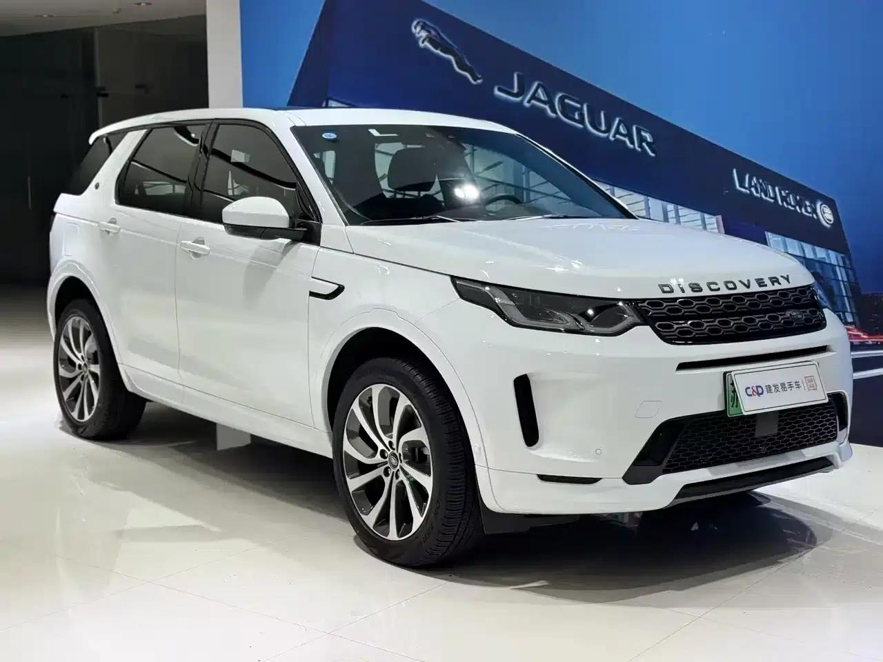 Discover Sporty New Energy 2021 P300e Performance Technology Edition — миниатюра 1