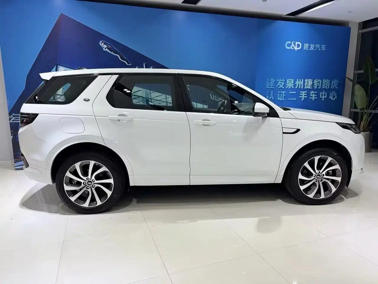 Discover Sporty New Energy 2021 P300e Performance Technology Edition — миниатюра 3