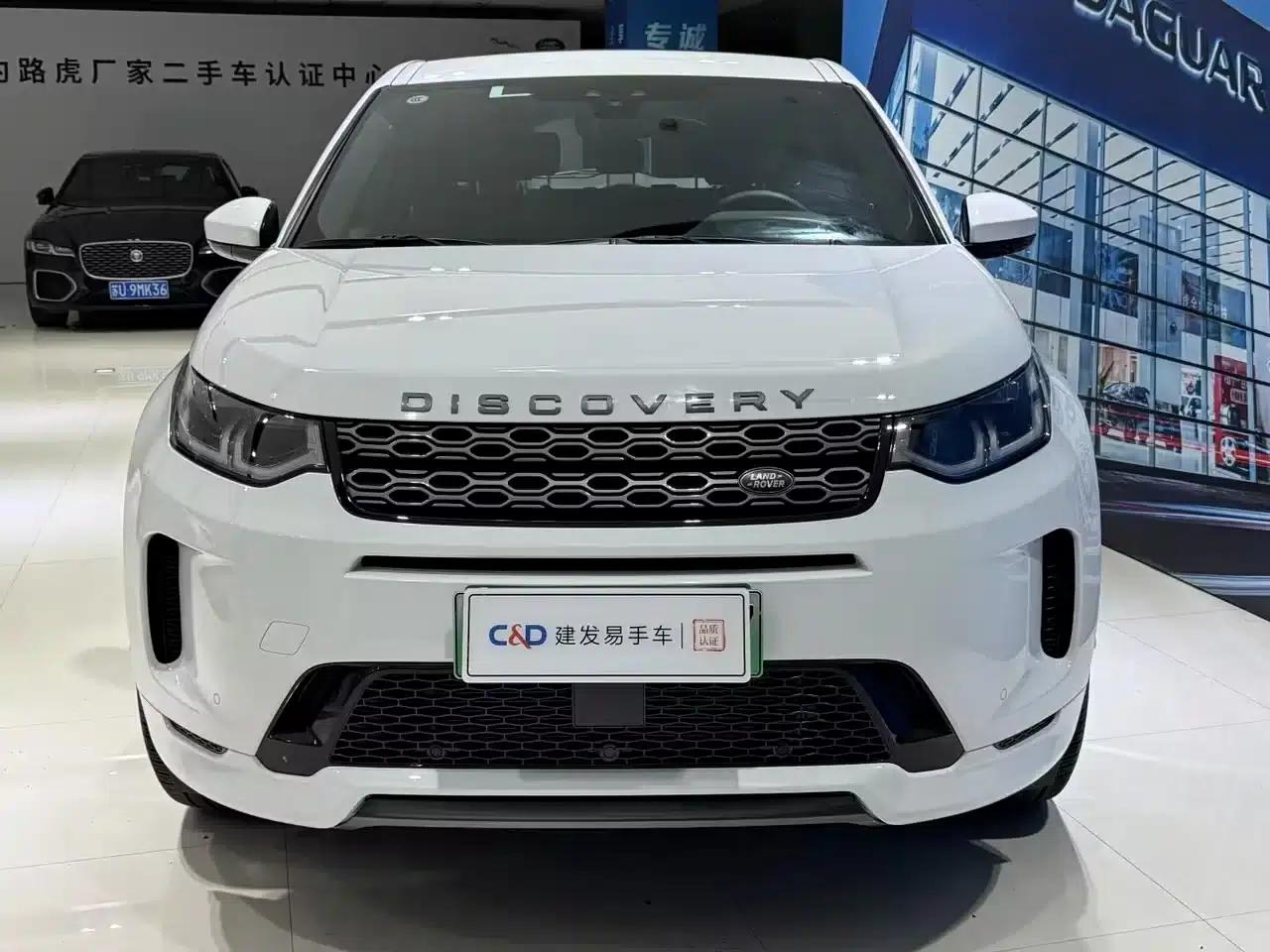 Discover Sporty New Energy 2021 P300e Performance Technology Edition — миниатюра 4