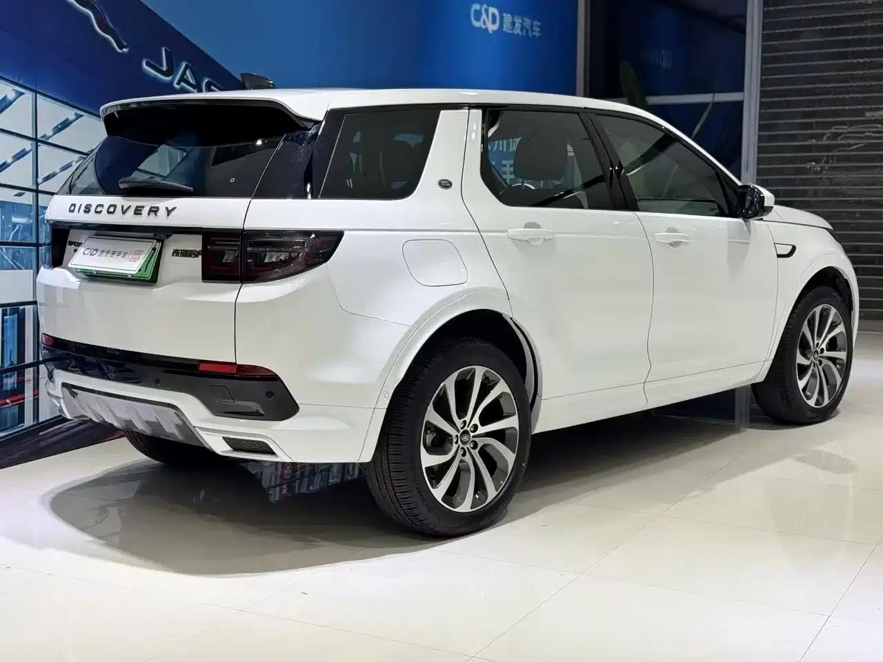 Discover Sporty New Energy 2021 P300e Performance Technology Edition — миниатюра 5