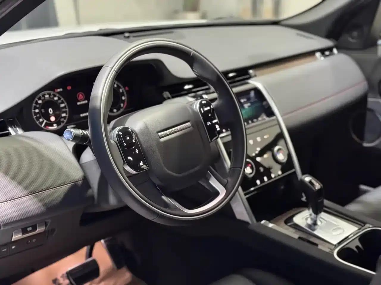 Discover Sporty New Energy 2021 P300e Performance Technology Edition — миниатюра 7