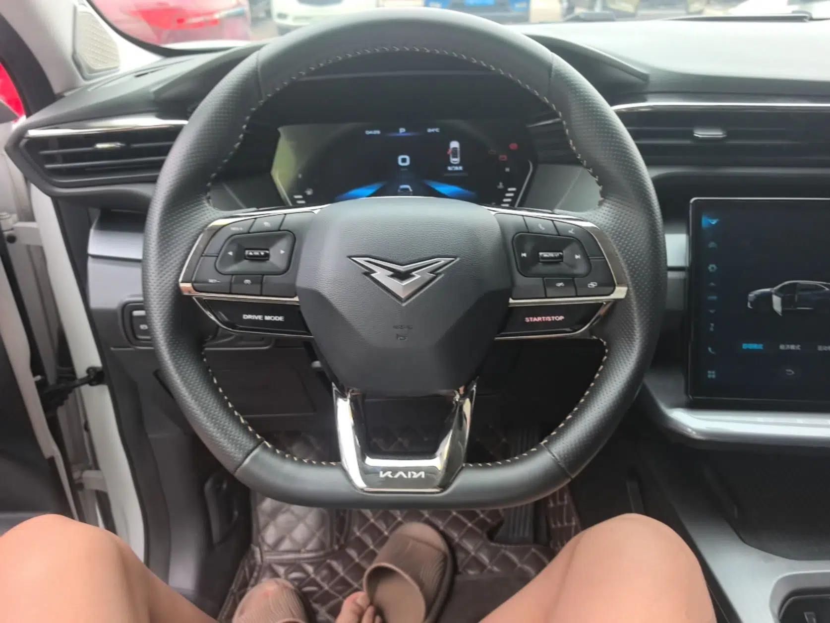 Cowin Kunlun 2023 Kunlun 300 Mountain Peak Edition — миниатюра 14
