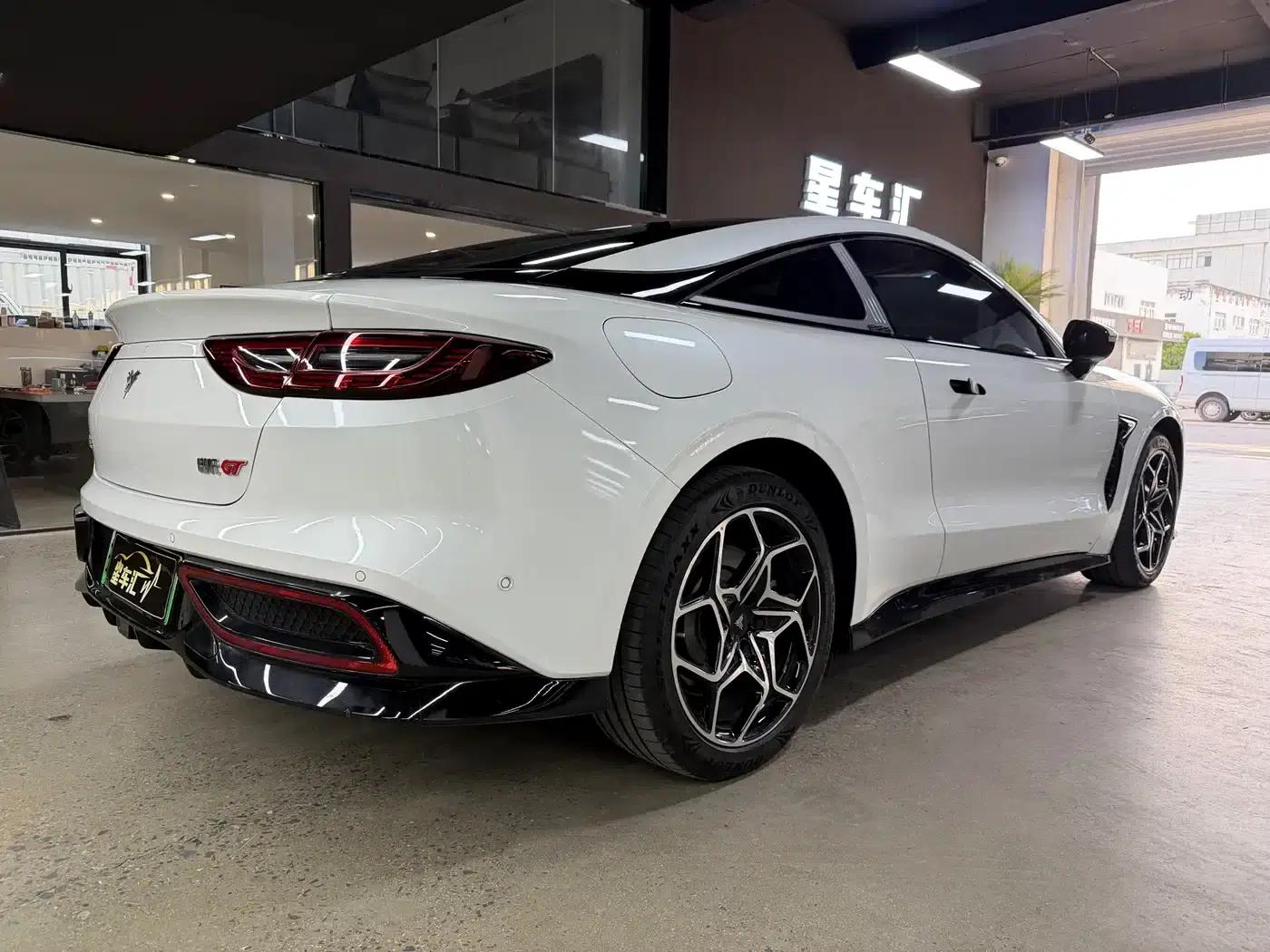 Nezha GT 2023 Model 560 — миниатюра 13
