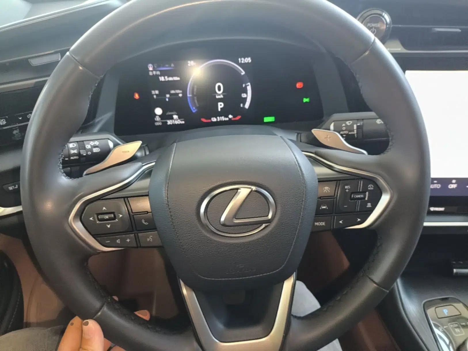 Lexus RZ 2023 450e All-Wheel Drive Luxury Edition — миниатюра 14