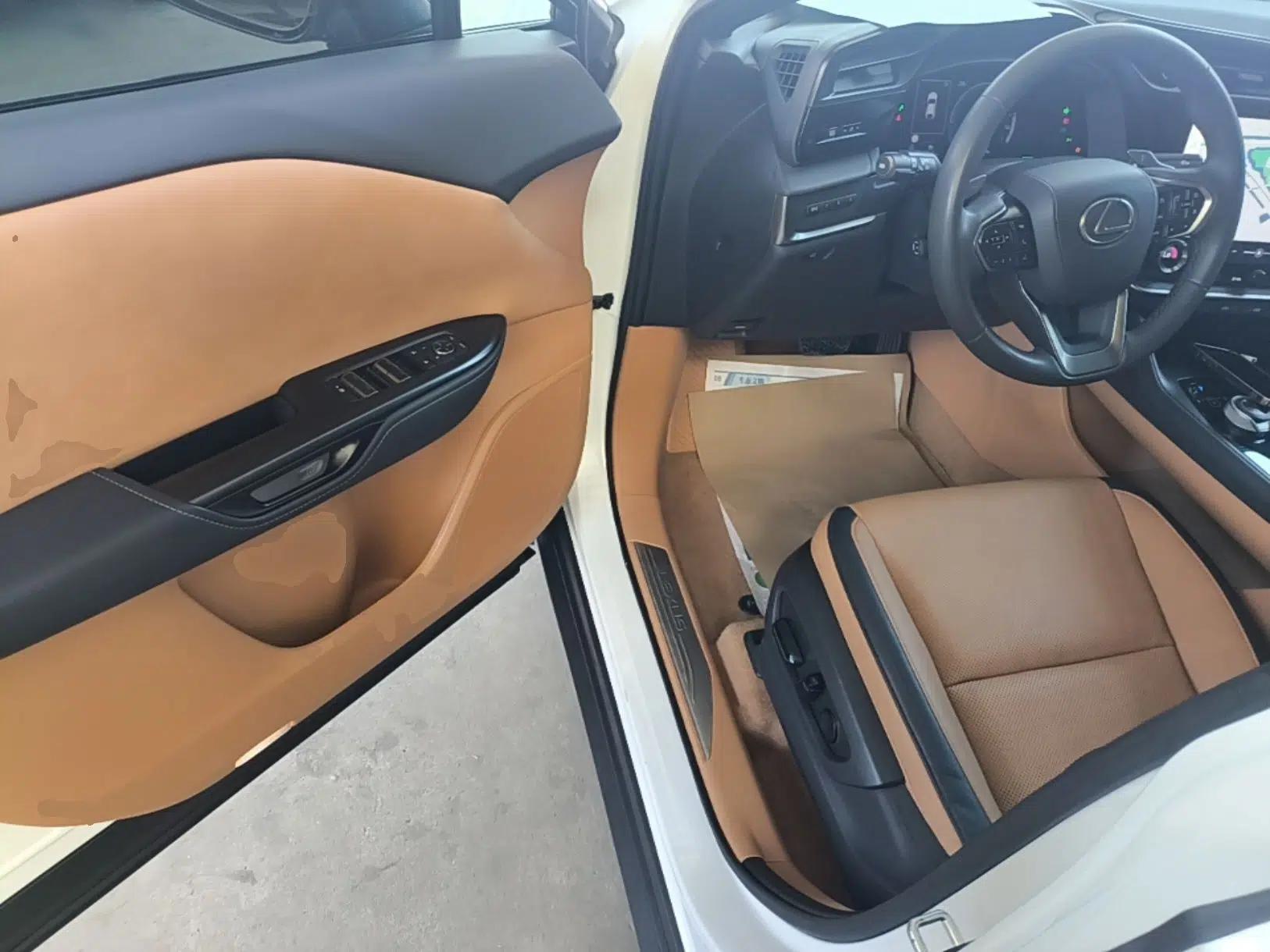 Lexus RZ 2023 450e All-Wheel Drive Luxury Edition — миниатюра 19