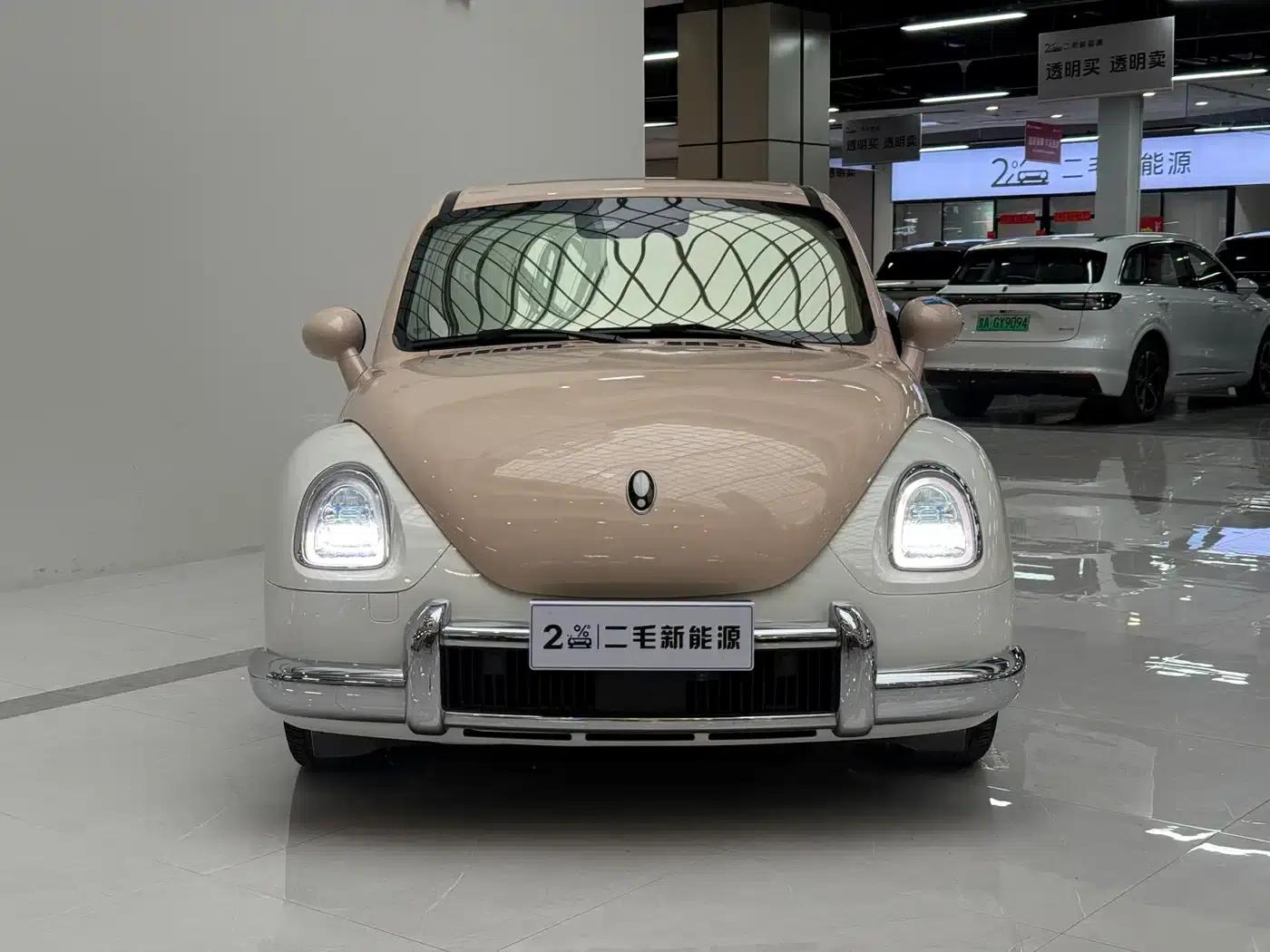 Euler Ballet Cat 2022 500km Sleeping Beauty Edition — миниатюра 2