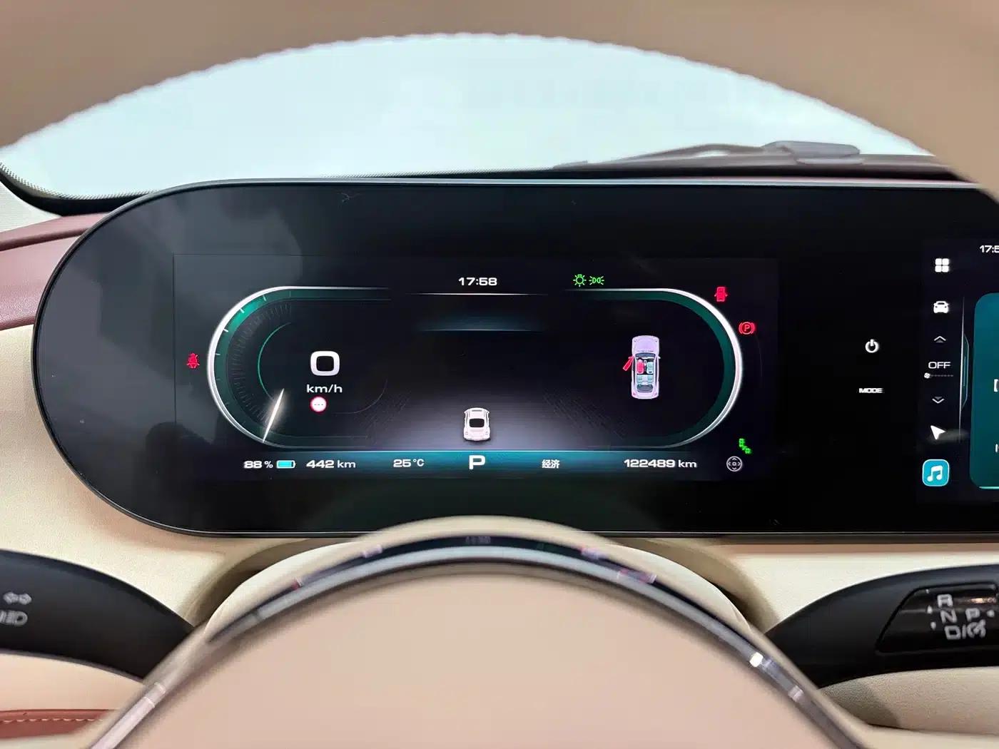 Euler Ballet Cat 2022 500km Sleeping Beauty Edition — миниатюра 15