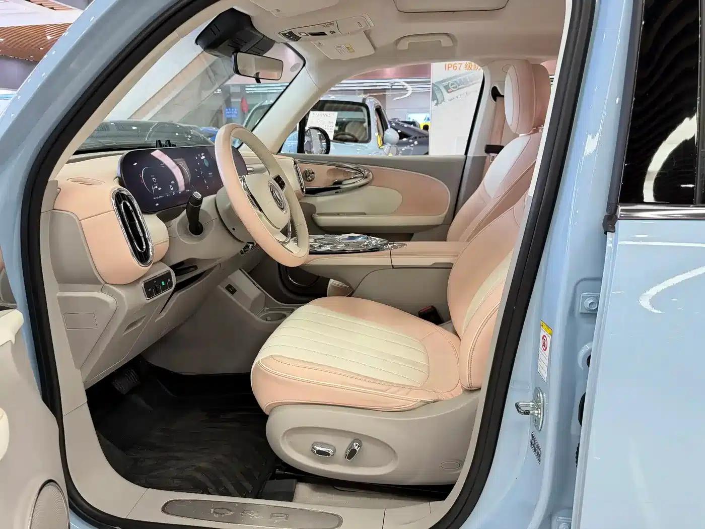 Euler Ballet Cat 2022 500km Sleeping Beauty Edition — миниатюра 7