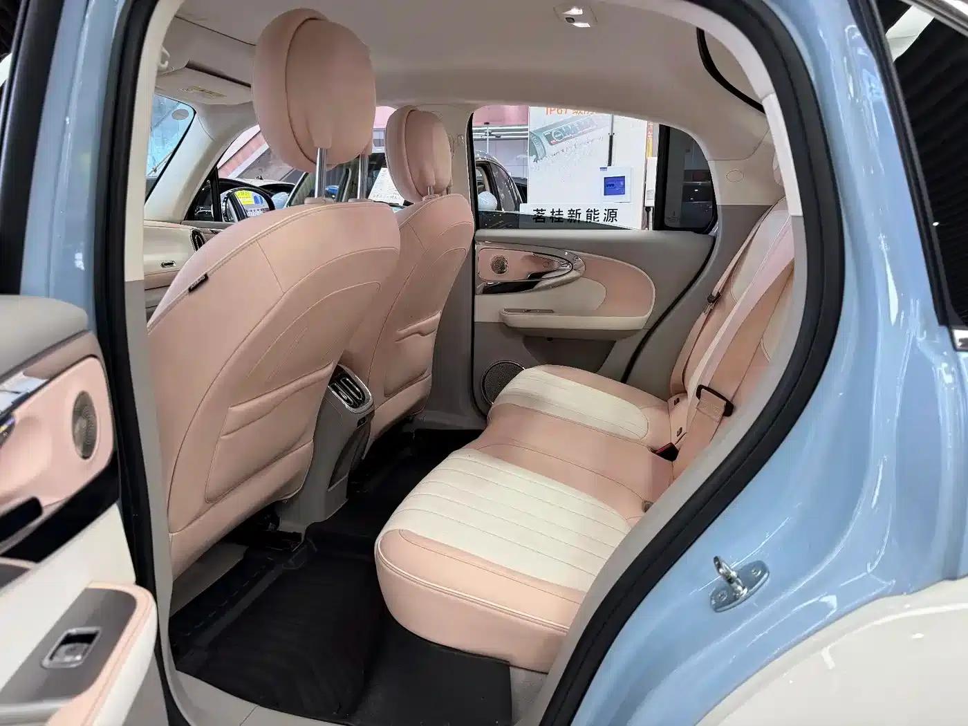 Euler Ballet Cat 2022 500km Sleeping Beauty Edition — миниатюра 9
