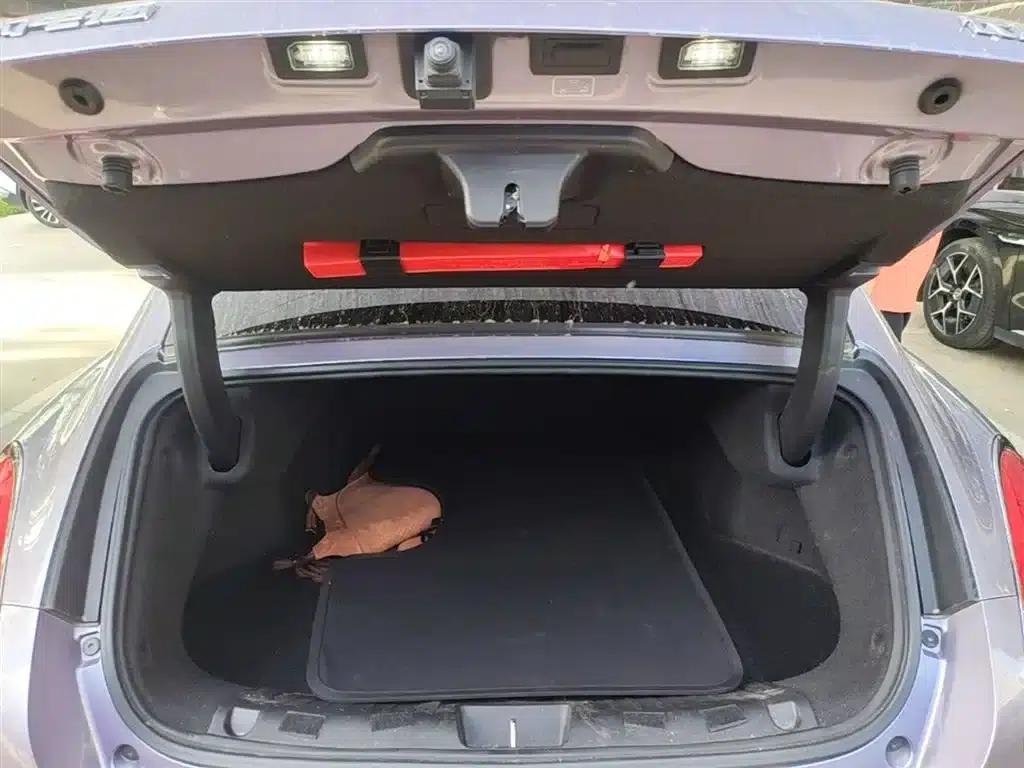 ORA Lightning Cat 2022 555km Premium Edition — миниатюра 19