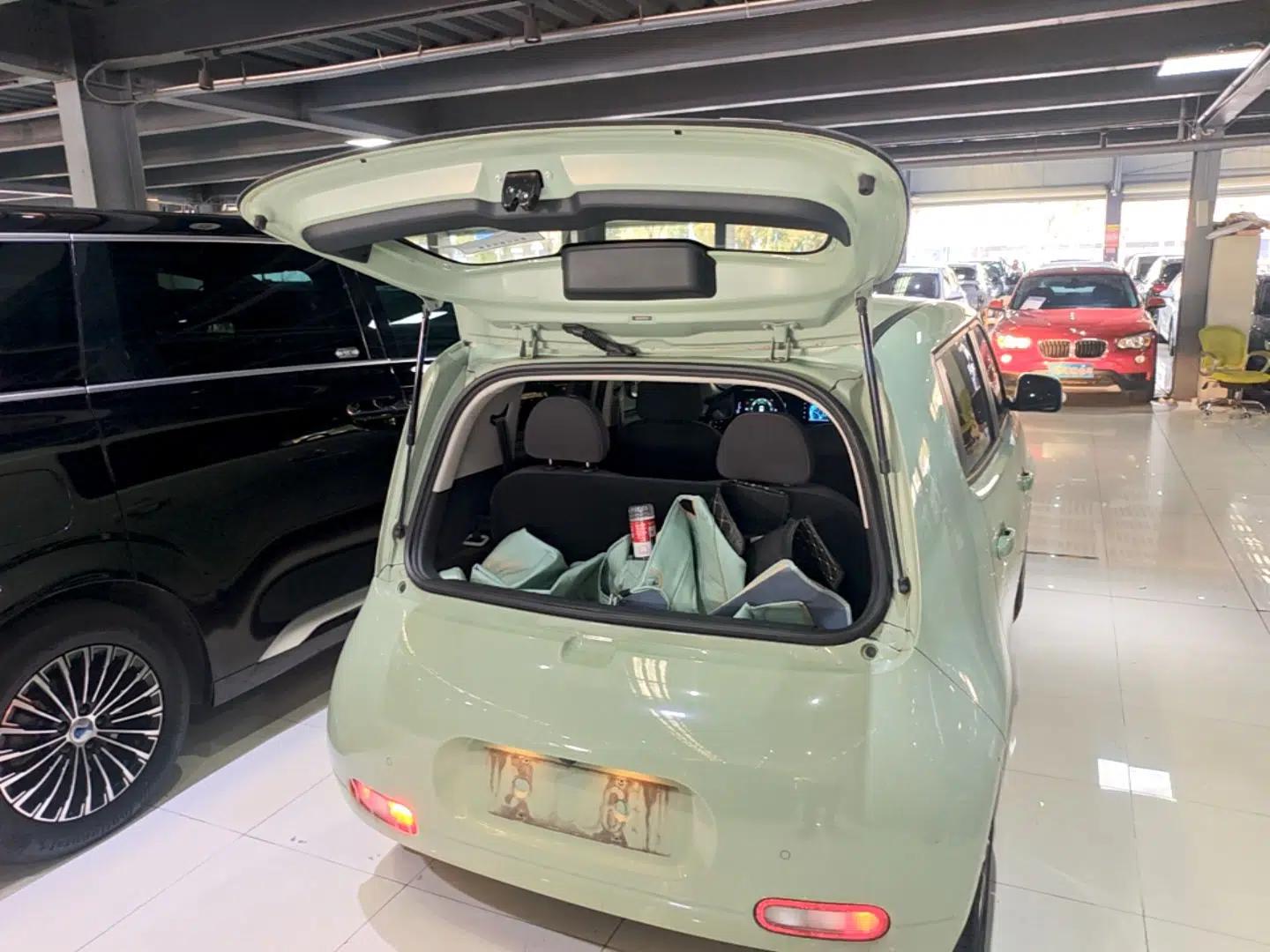 ORA White Cat 2022 Upgraded Model 305km Range Luxury Version Lithium-Ion Battery — миниатюра 22