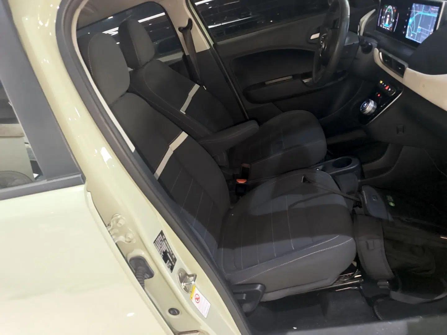 ORA White Cat 2022 Upgraded Model 305km Range Luxury Version Lithium-Ion Battery — миниатюра 23