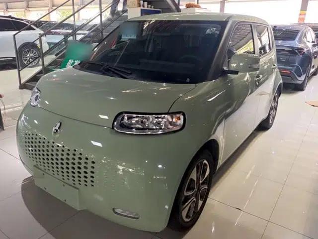 ORA White Cat 2022 Upgraded Model 305km Range Luxury Version Lithium-Ion Battery