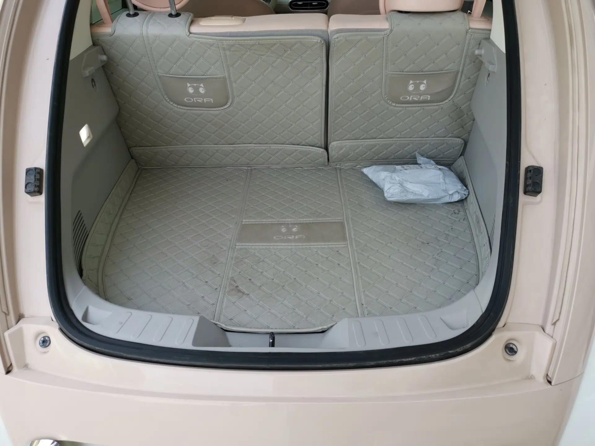 ORA Ballet Cat 2023 401 km Luxury Version — миниатюра 20