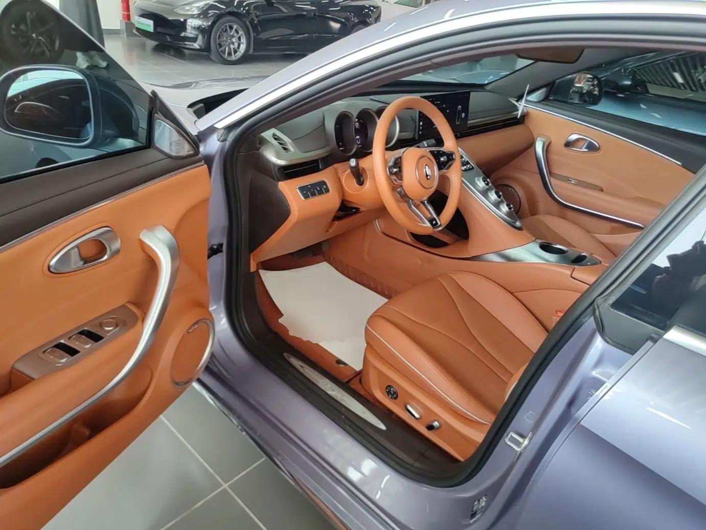 ORA Lightning Cat 2022 555 km Luxury Edition — миниатюра 19
