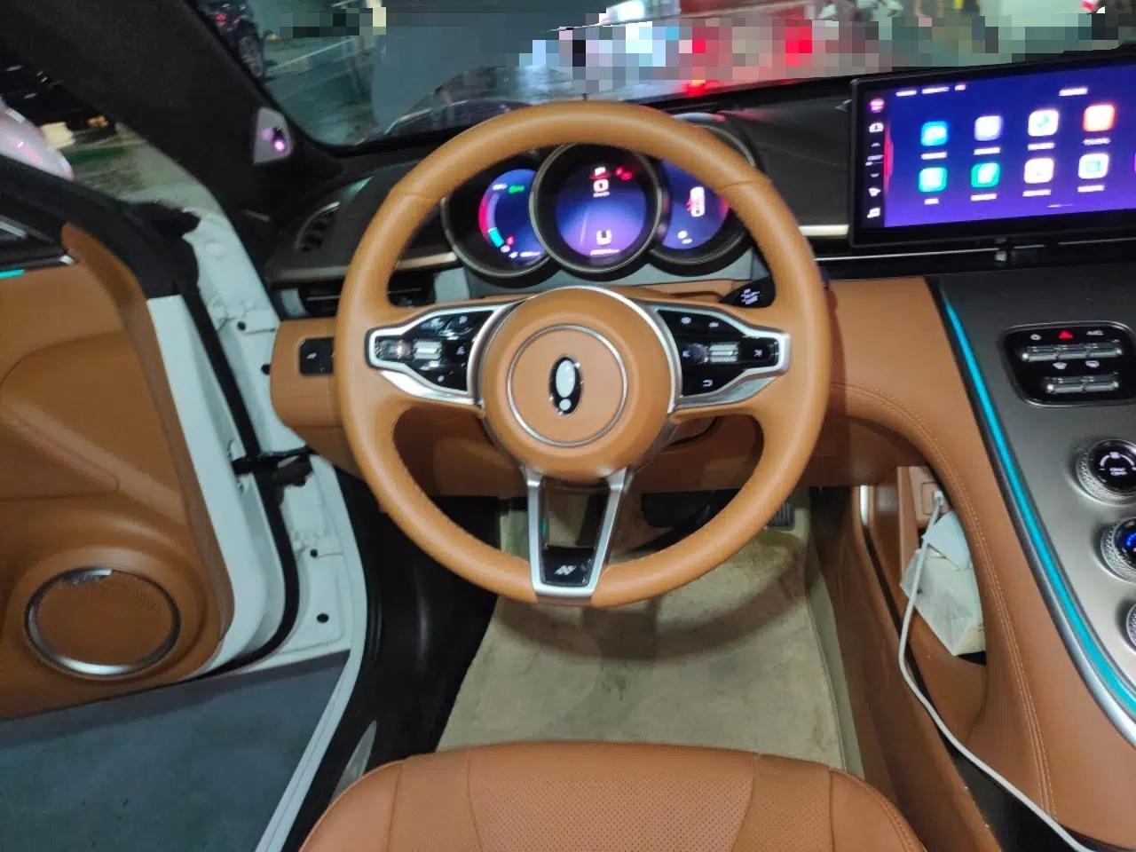 ORA Lightning Cat 2022 555 km Luxury Edition — миниатюра 9