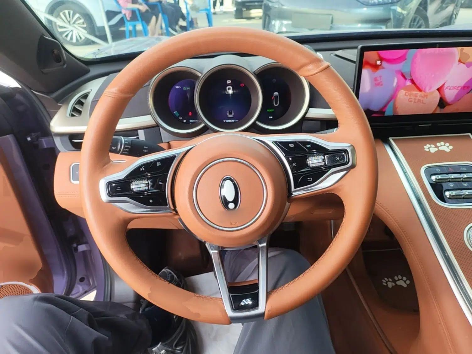 ORA Lightning Cat 2022 555 km Luxury Edition — миниатюра 13