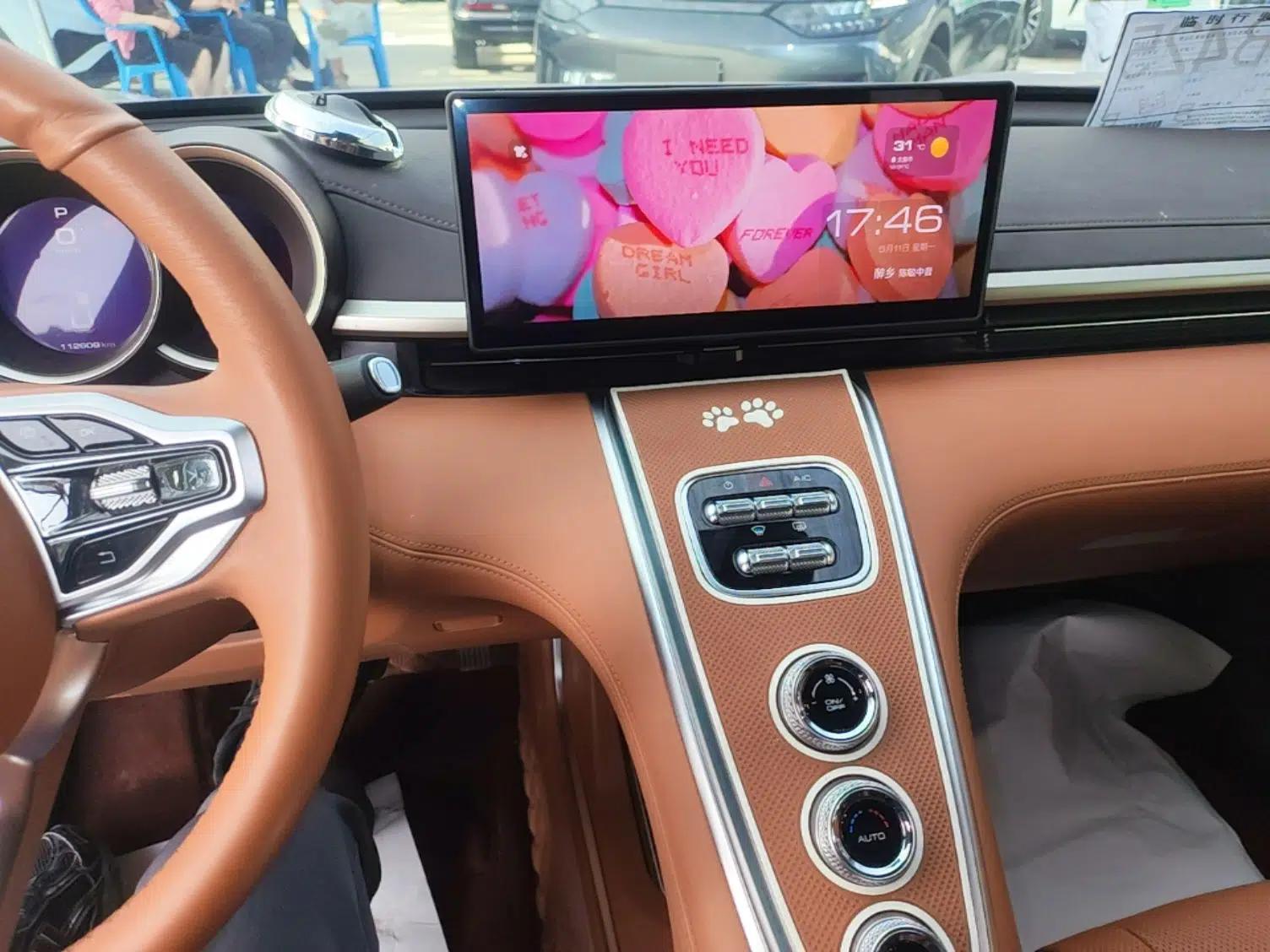 ORA Lightning Cat 2022 555 km Luxury Edition — миниатюра 15