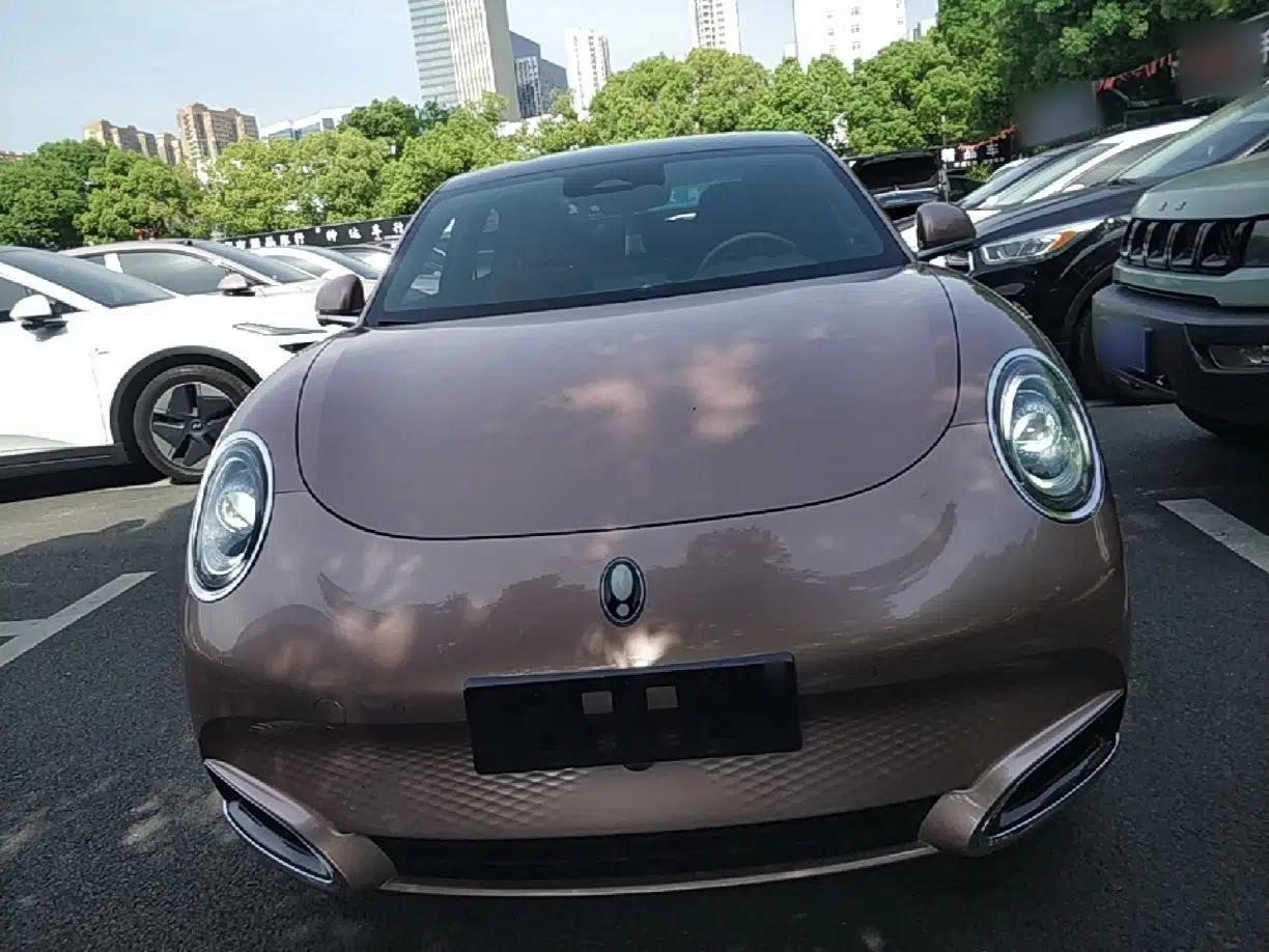 ORA Lightning Cat 2022 600 km All-Wheel Drive High-Performance Version — миниатюра 2