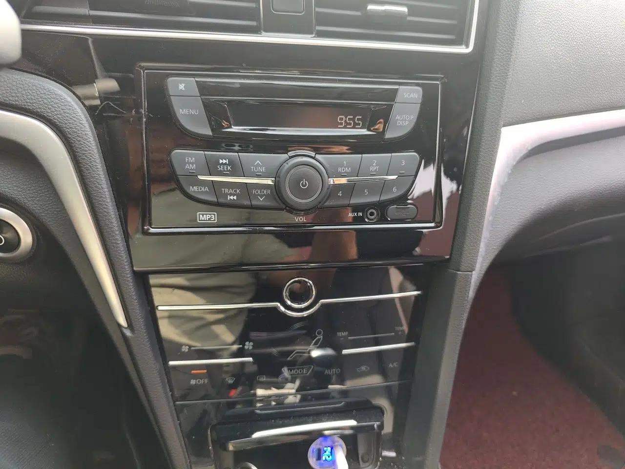Venucia D60EV 2020 Standard Range Smart Drive Edition — миниатюра 14