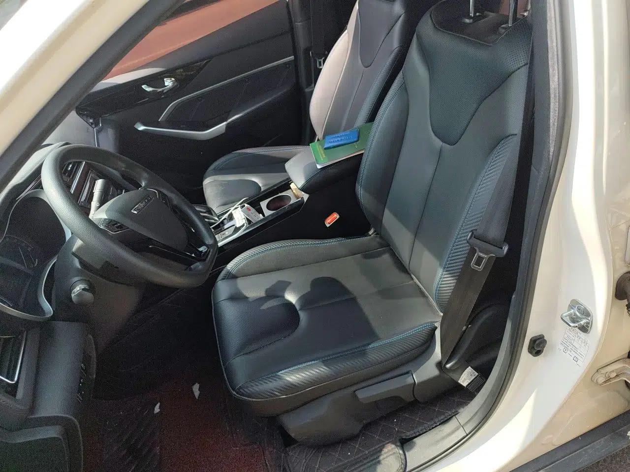 Venucia D60EV 2020 Standard Range Smart Drive Edition — миниатюра 16
