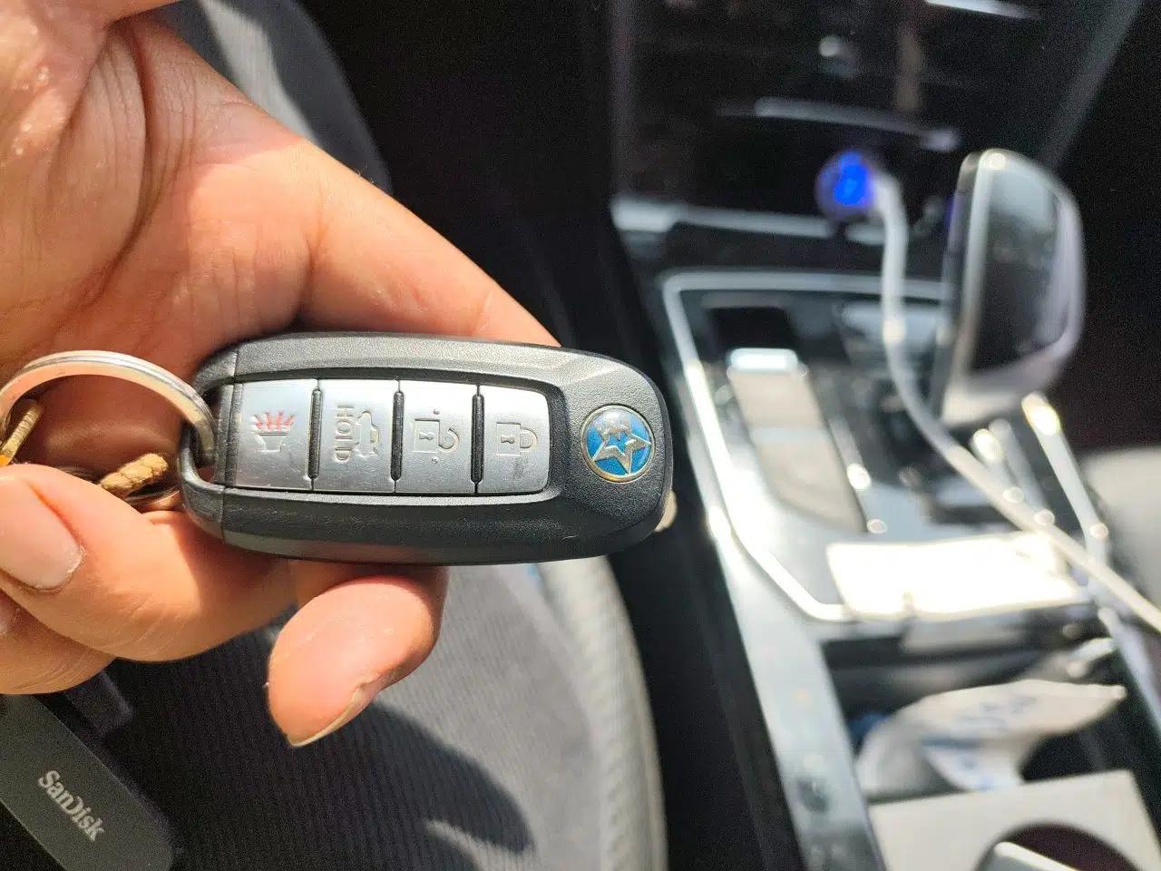 Venucia D60EV 2020 Standard Range Smart Drive Edition — миниатюра 9