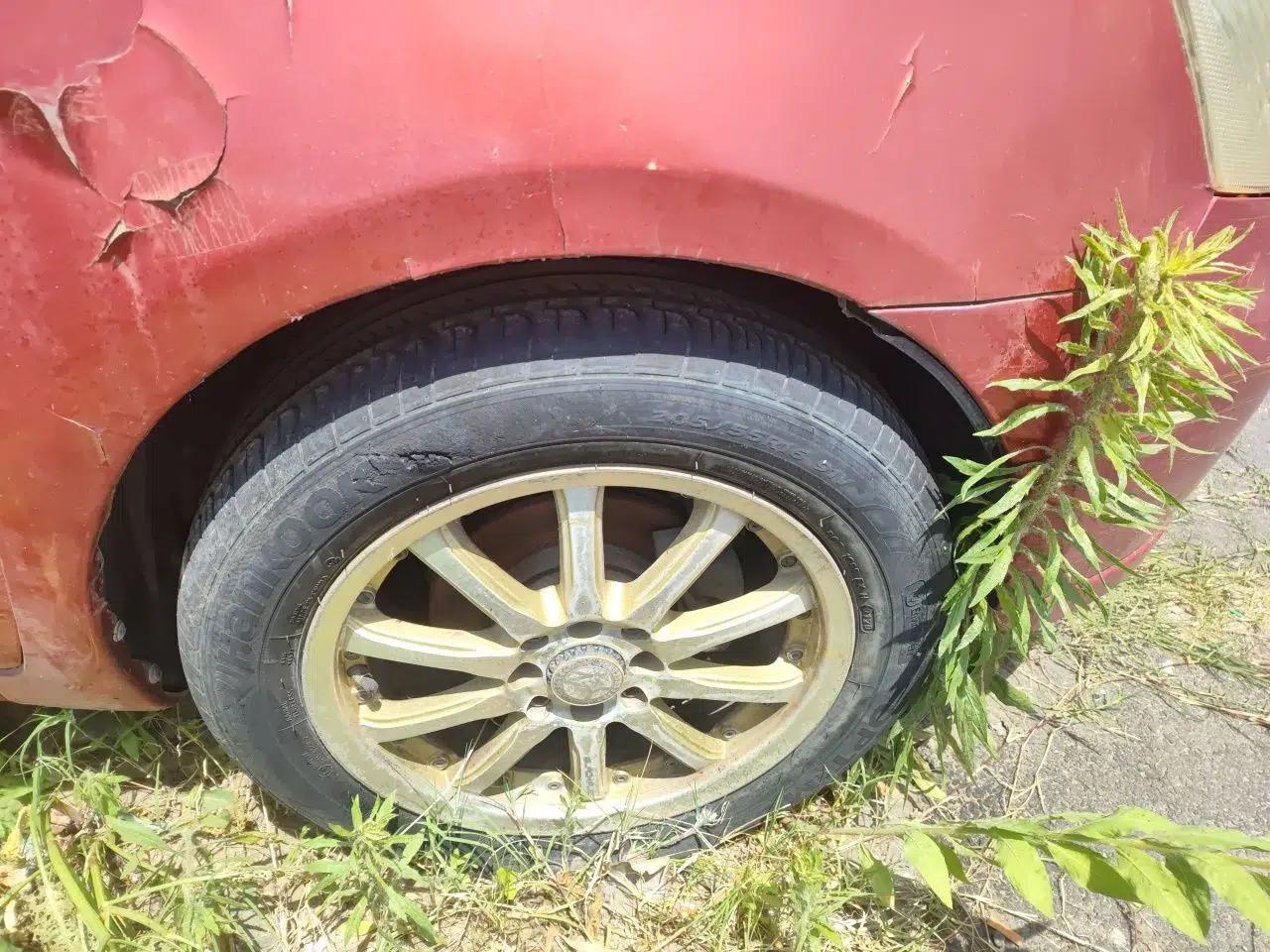 Nissan Livina 2010 Jingyue Edition 1.6L Manual All-Around Model — миниатюра 8