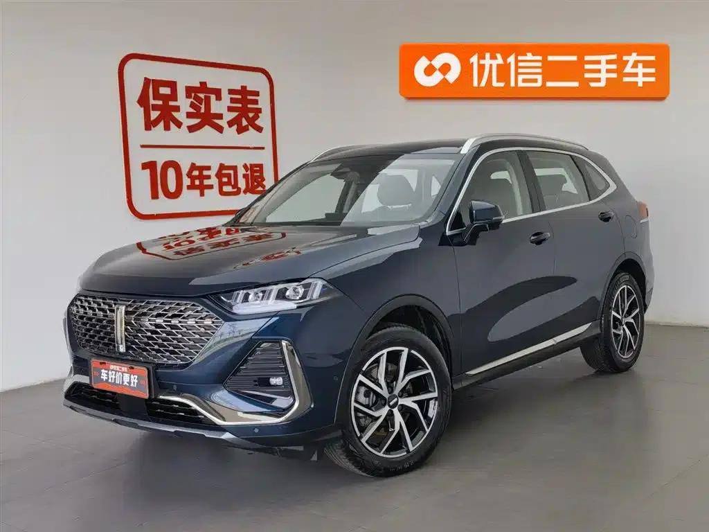 Weipai Latte DHT-PHEV 2022 1.5T AWD Super Large Cup — миниатюра 1