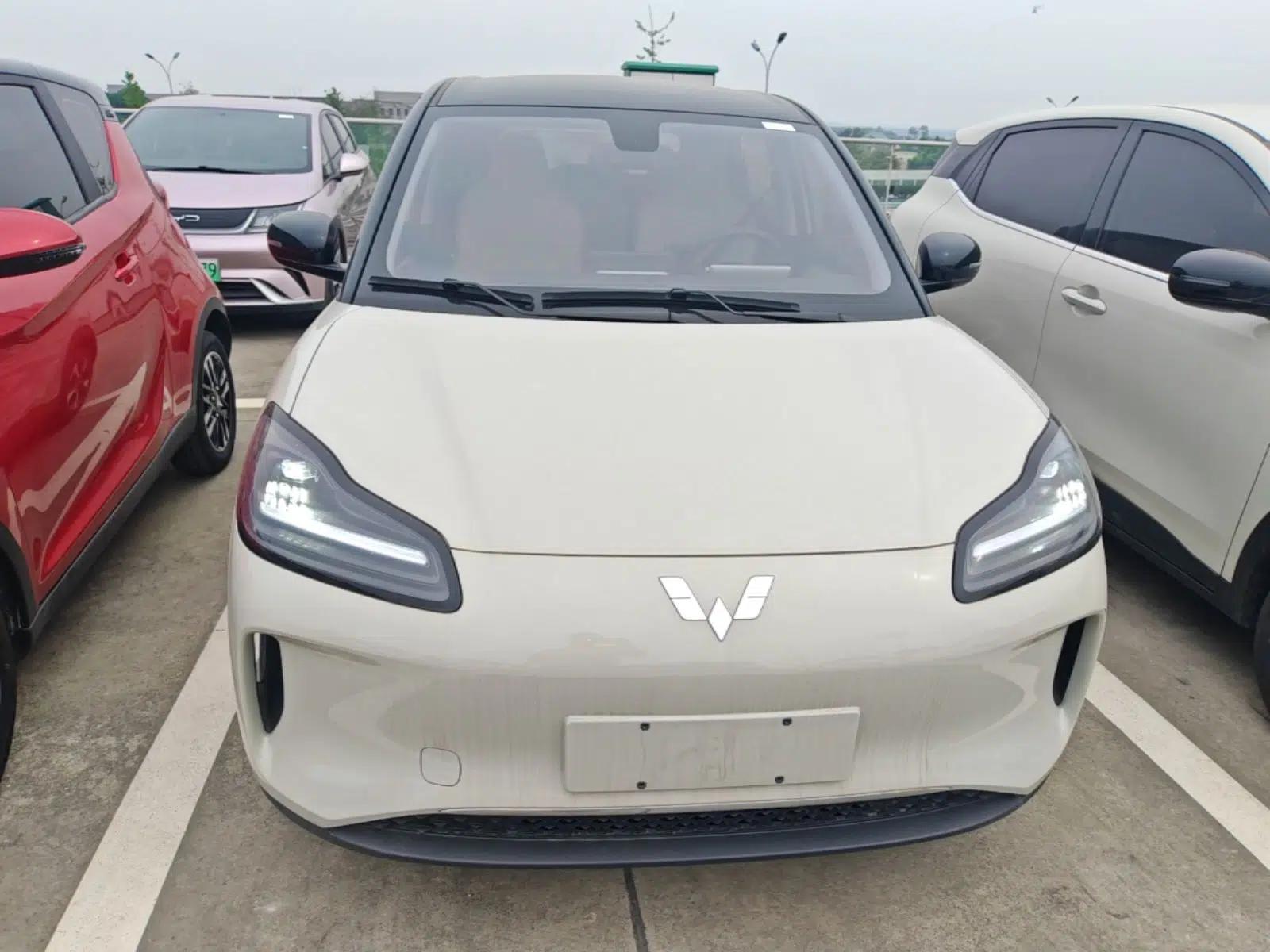 Wuling Bingo PLUS 2024 330 km Range Five-Seater Version — миниатюра 2
