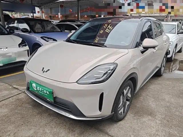 Wuling Bingo S 2025 Model 430km Flagship Edition
