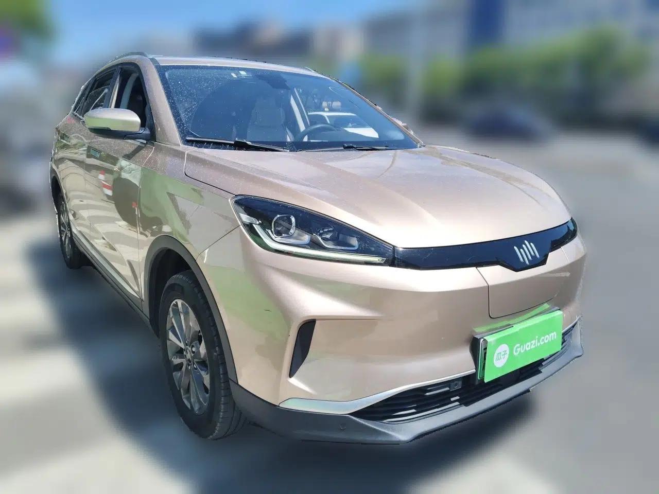WM Motor EX5 2019 EX5 Mate Weymeng Edition 400 — миниатюра 3