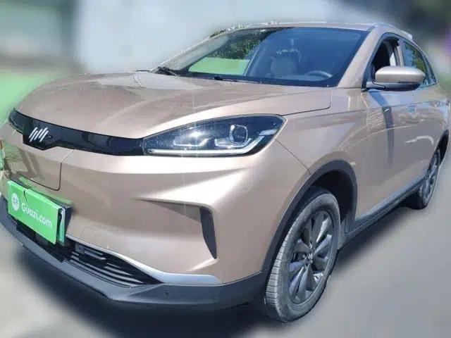 WM Motor EX5 2019 EX5 Mate Weymeng Edition 400