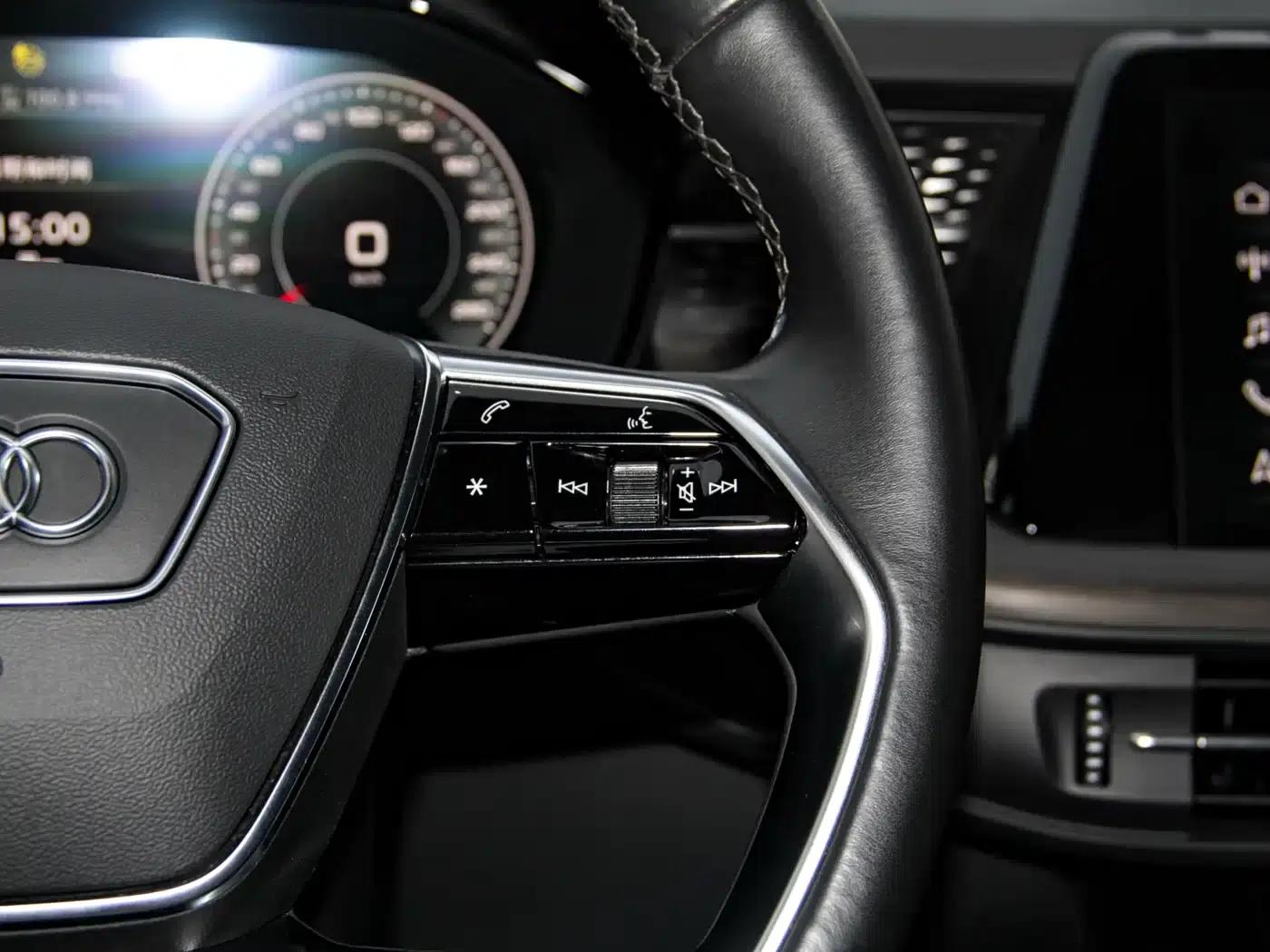 Audi Q6 2024 40 TFSI quattro Cloud View Edition, Feathered Forest Package, 7-seater — миниатюра 22