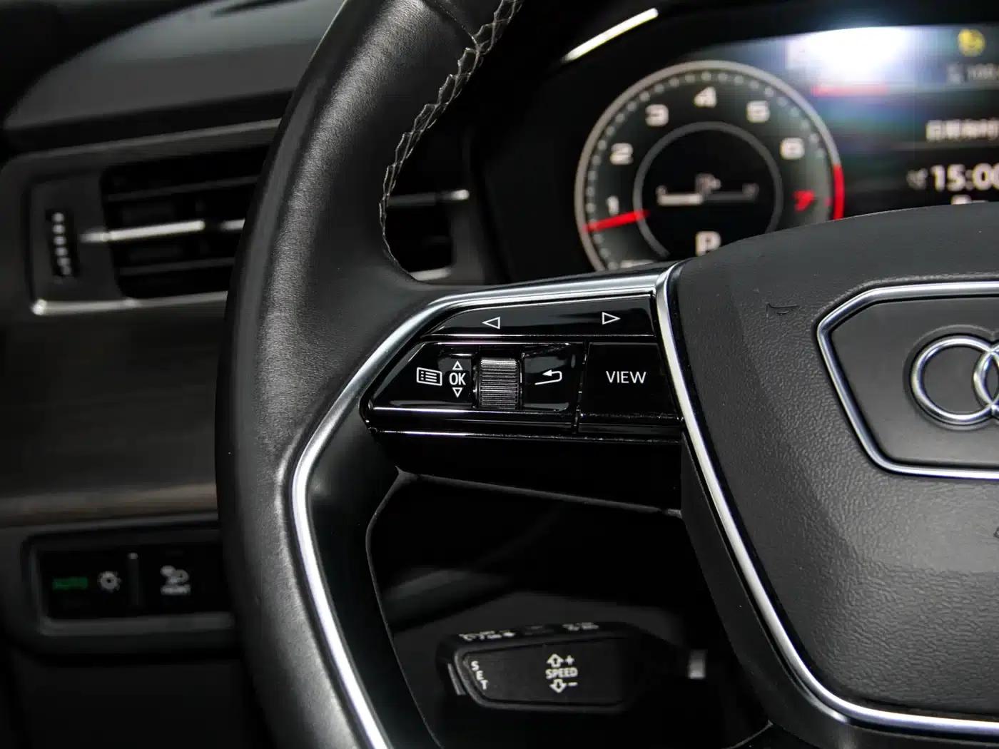 Audi Q6 2024 40 TFSI quattro Cloud View Edition, Feathered Forest Package, 7-seater — миниатюра 24