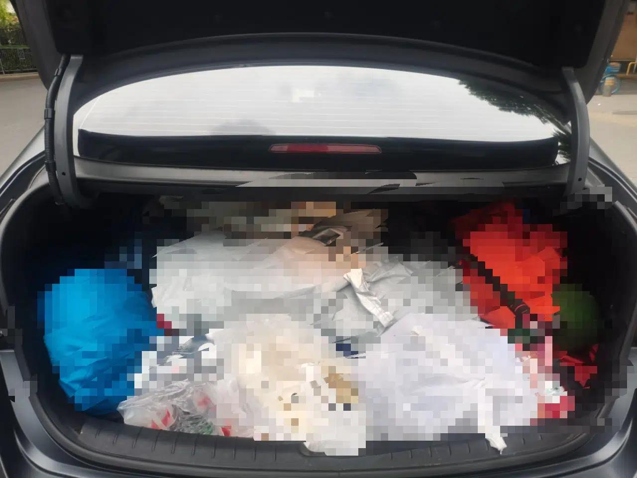 Hyundai Lafesta Electric 2020 DLX Enjoyment Edition — миниатюра 20