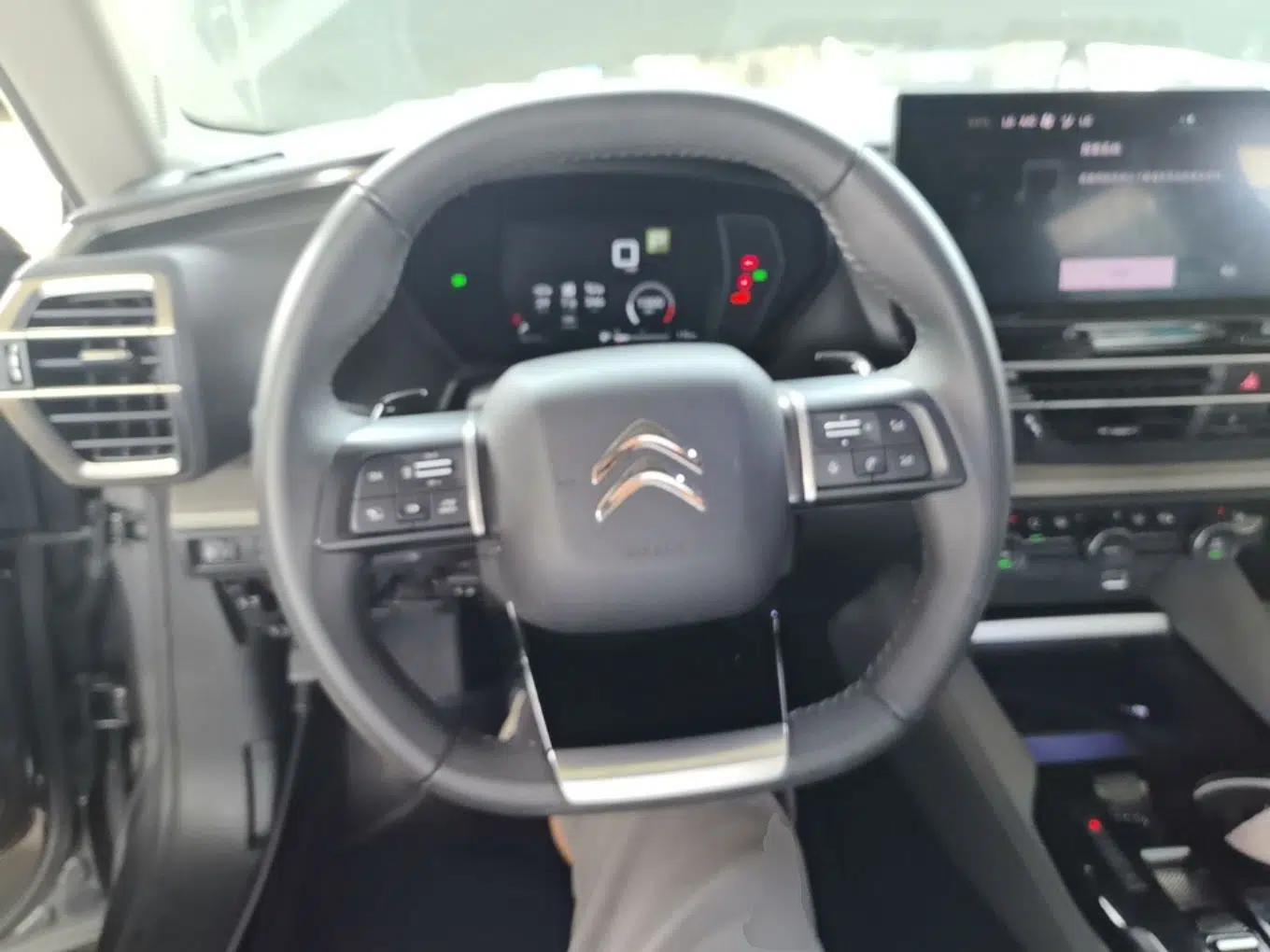 Citroen C5 X 2021 1.6T Flagship Edition — миниатюра 13