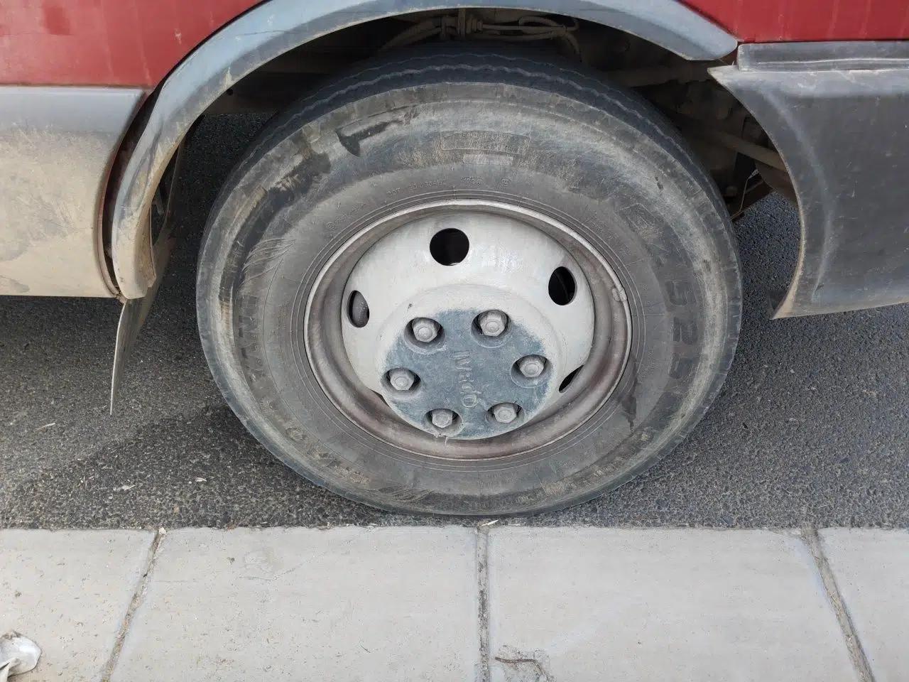 Iveco Power Daily  — миниатюра 8