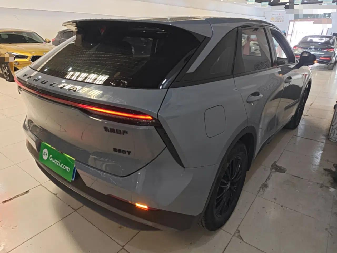 Venucia V 2021 260T Idol Edition — миниатюра 6