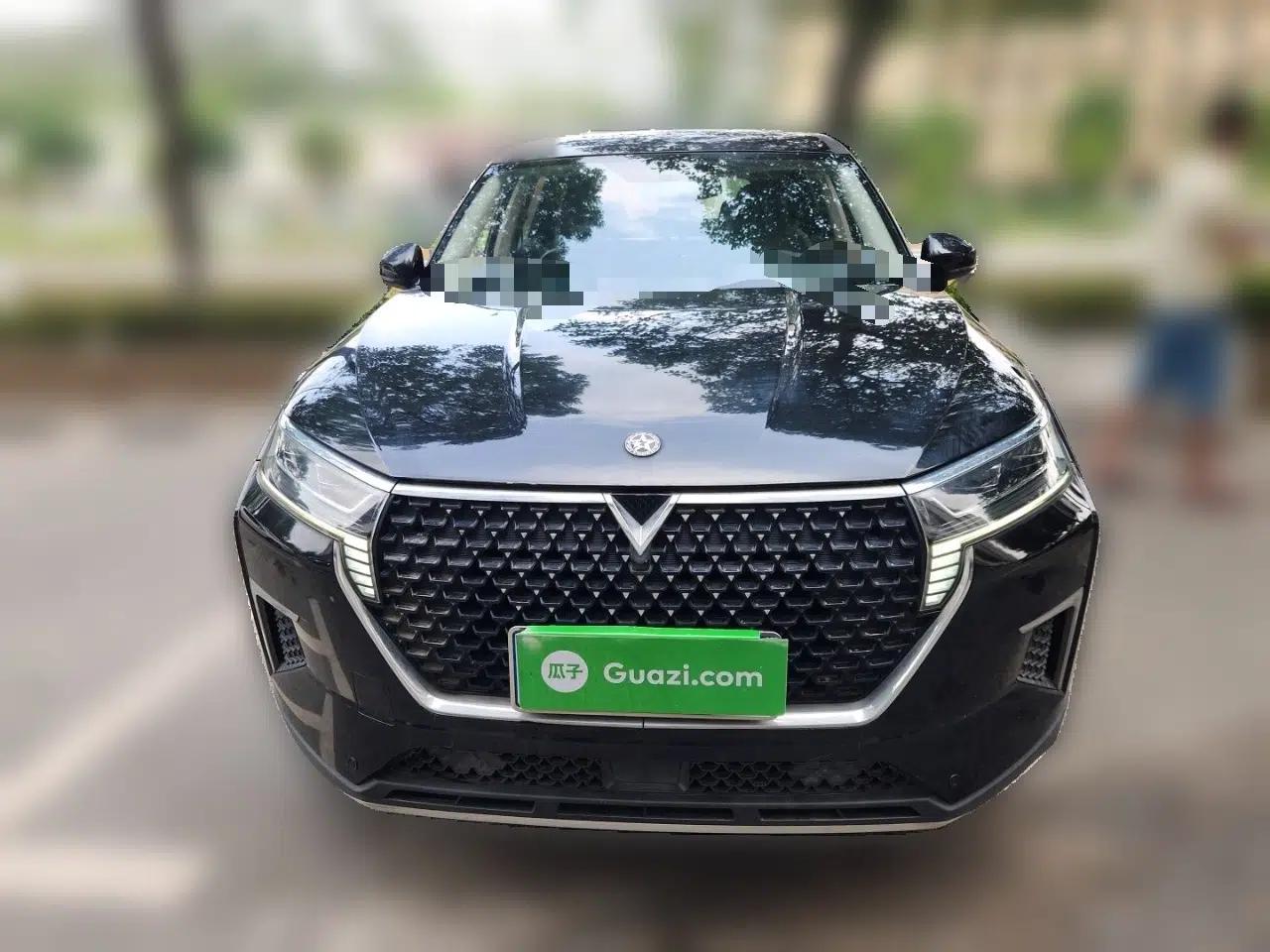 Venucia Star 2020 260T Automatic XingShang Edition — миниатюра 2