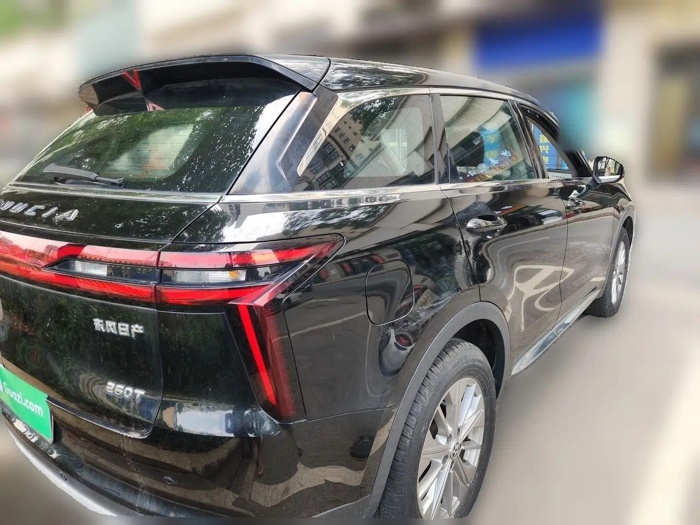 Venucia Star 2020 260T Automatic XingShang Edition — миниатюра 6