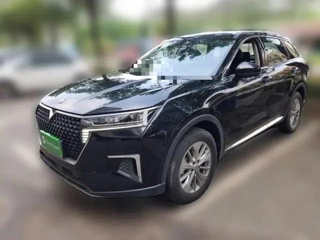 Venucia Star 2020 260T Automatic XingShang Edition