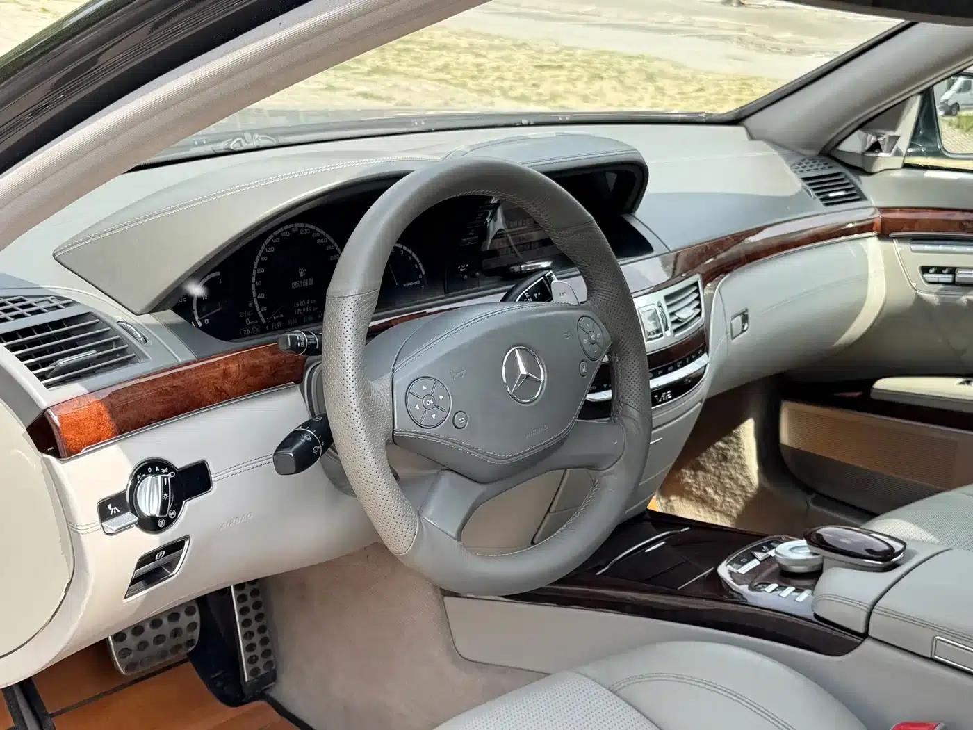 2010 Mercedes-Benz S-Class AMG S 65 — миниатюра 16