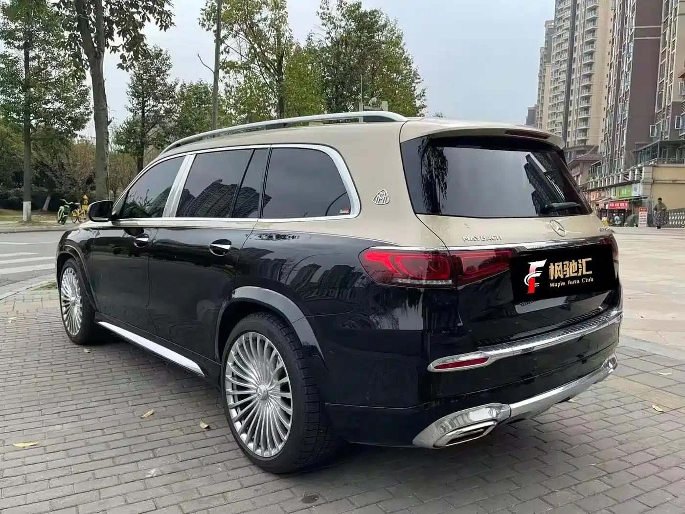 2022 Maybach GLS 600 4MATIC Premium Edition — миниатюра 11