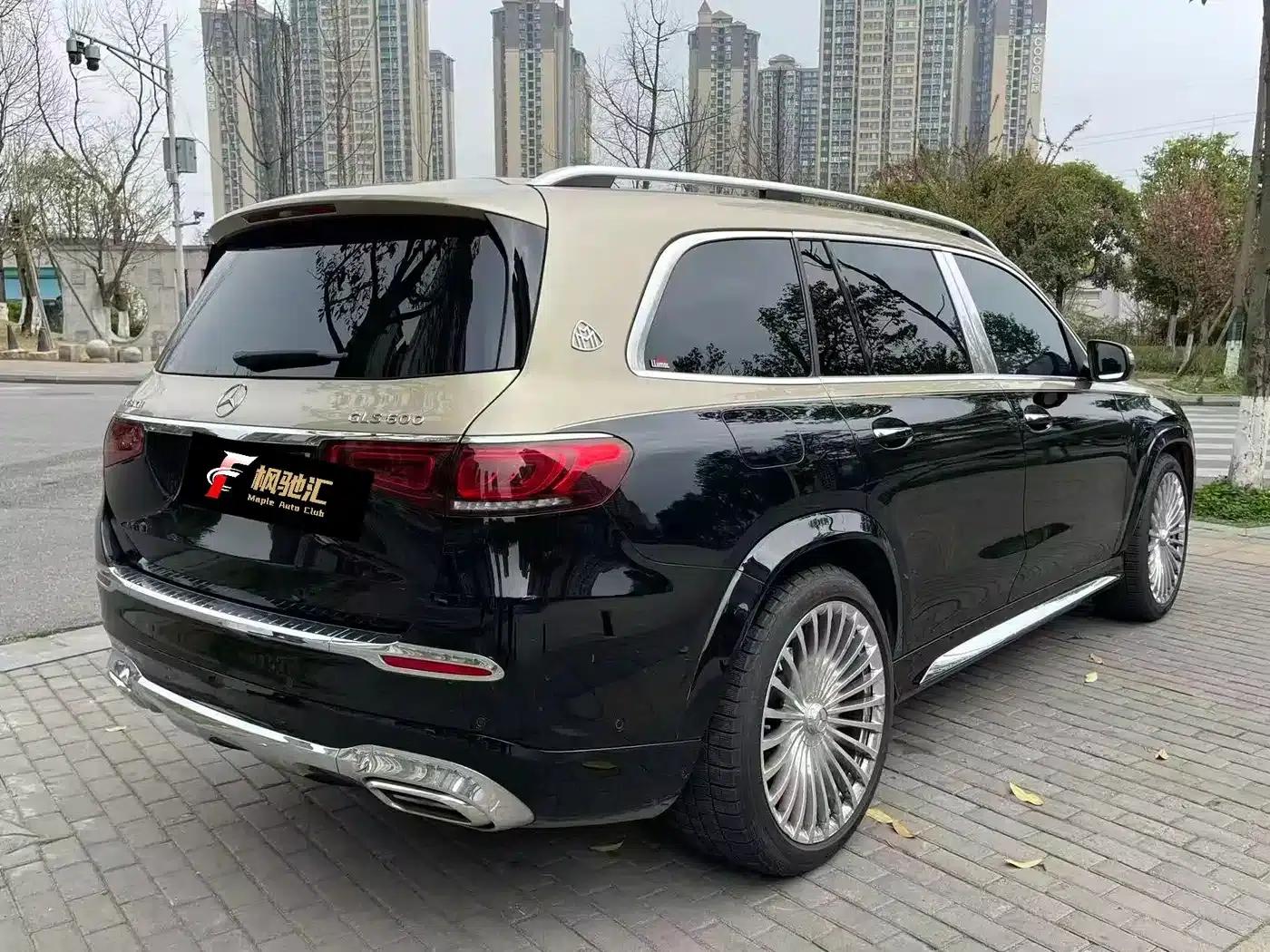 2022 Maybach GLS 600 4MATIC Premium Edition — миниатюра 13