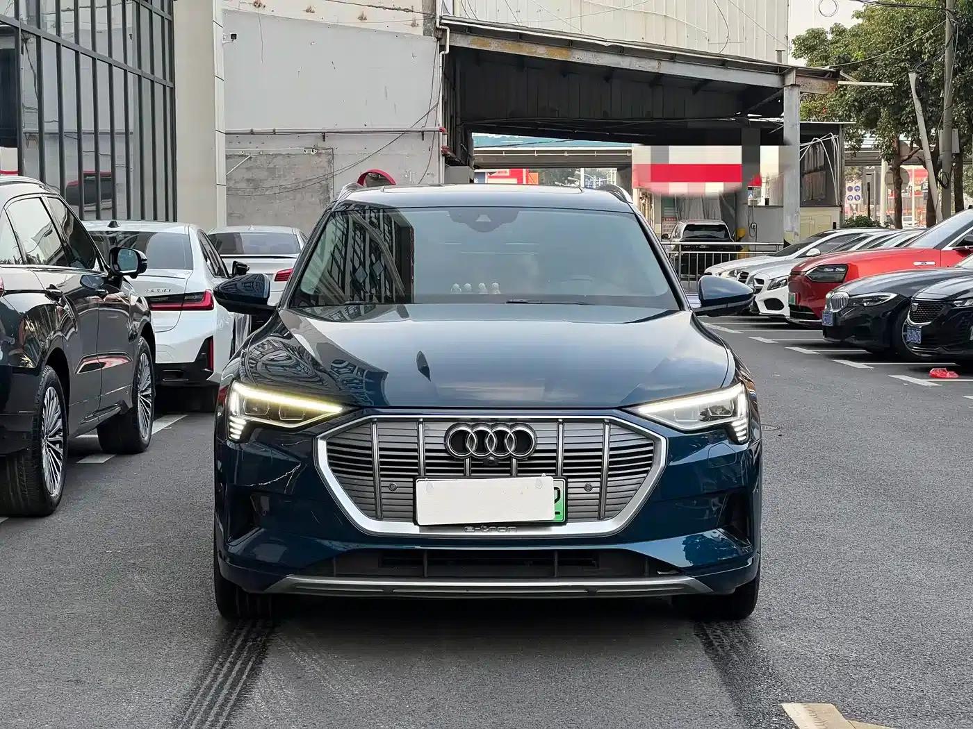 2019 Audi e-tron (imported) 55 quattro Technology Edition — миниатюра 14