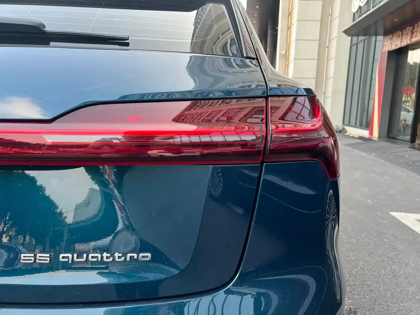2019 Audi e-tron (imported) 55 quattro Technology Edition — миниатюра 16