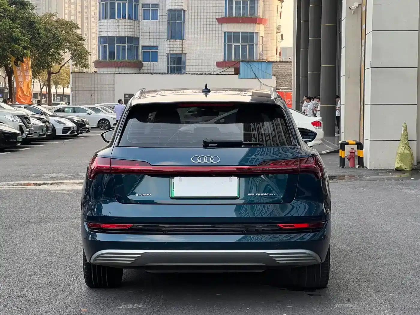 2019 Audi e-tron (imported) 55 quattro Technology Edition — миниатюра 5