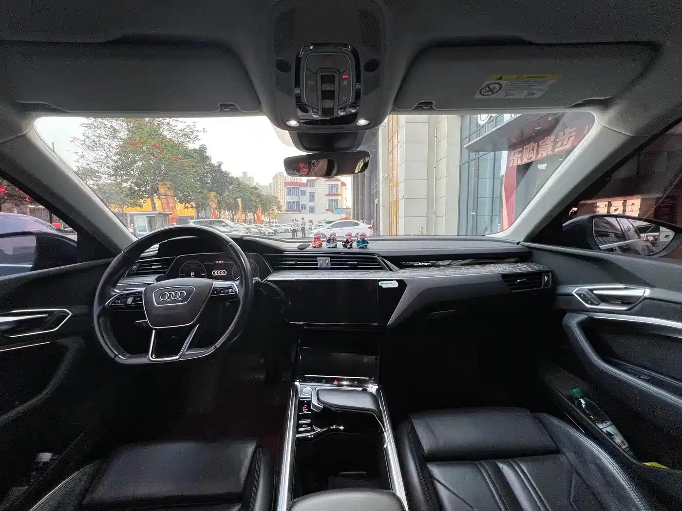 2019 Audi e-tron (imported) 55 quattro Technology Edition — миниатюра 7