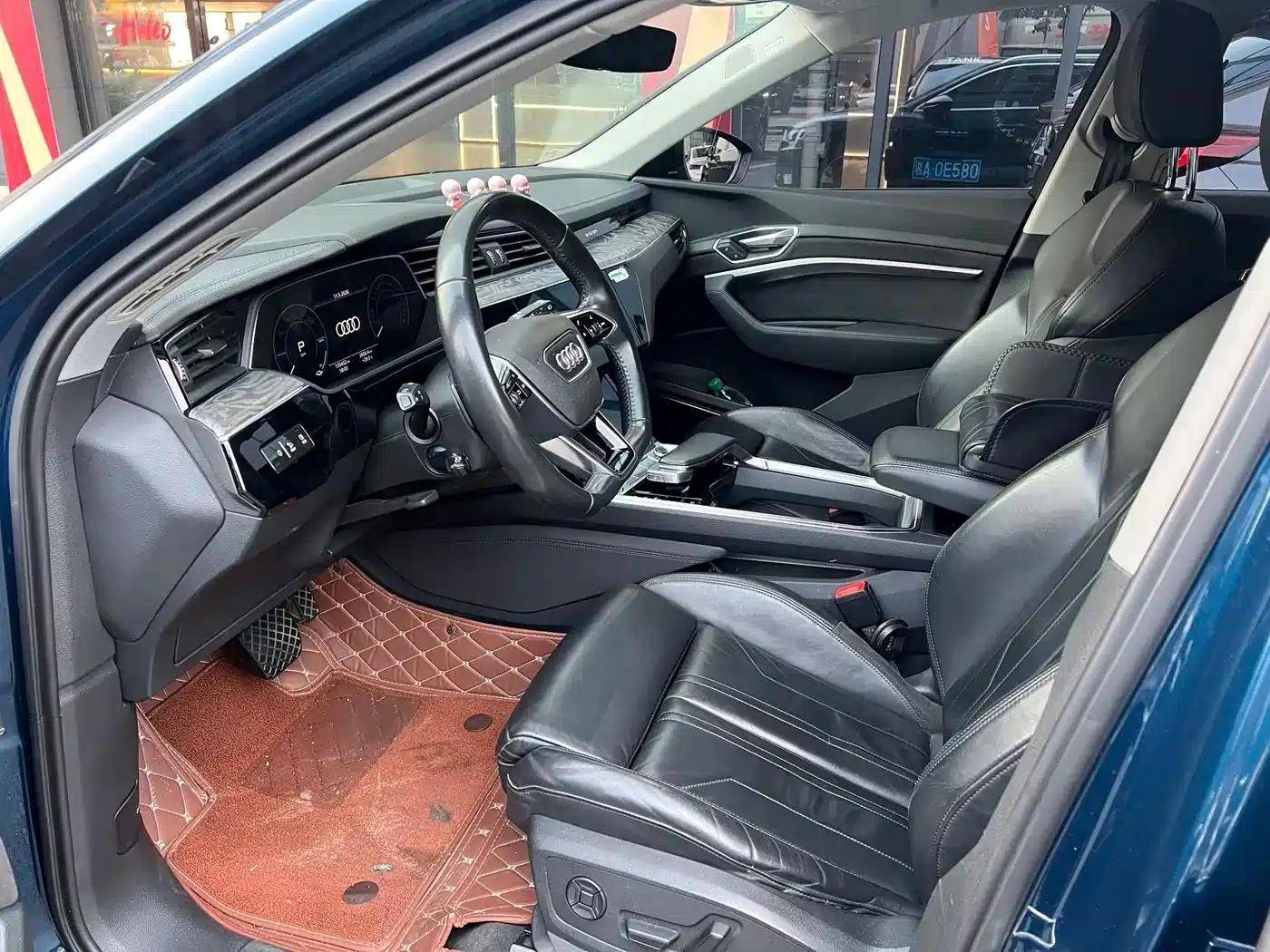 2019 Audi e-tron (imported) 55 quattro Technology Edition — миниатюра 10